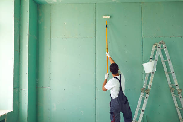 Best Commercial Painting  in New Fairview, TX